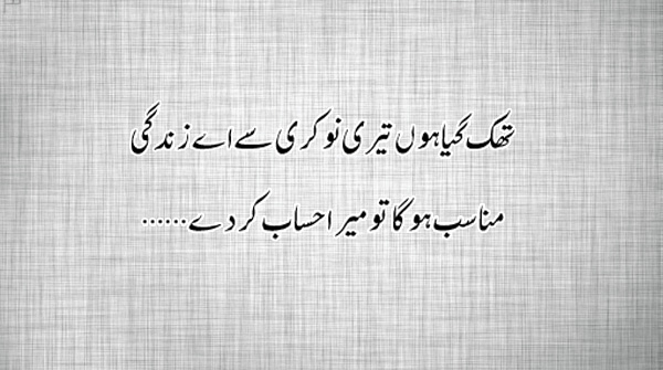 Amna Khan tweet media