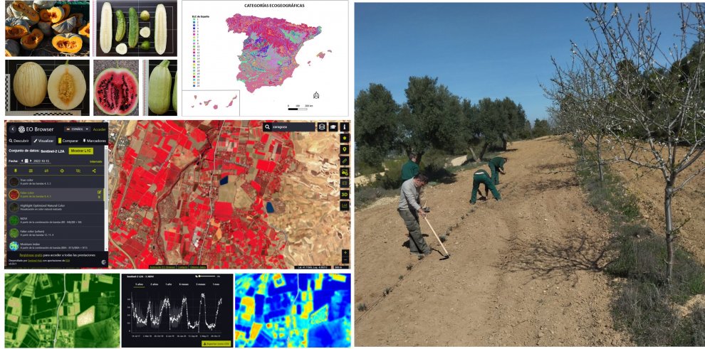 GobAragon's tweet image. El @CITAAragon inicia el proyecto #BIODIVERSA sobre los Sistemas Agrícolas Biodiversos y Resilientes 

📰Toda la información en ➡️tinyurl.com/4rbth9uy

#InvestigaAragón #Investigación
