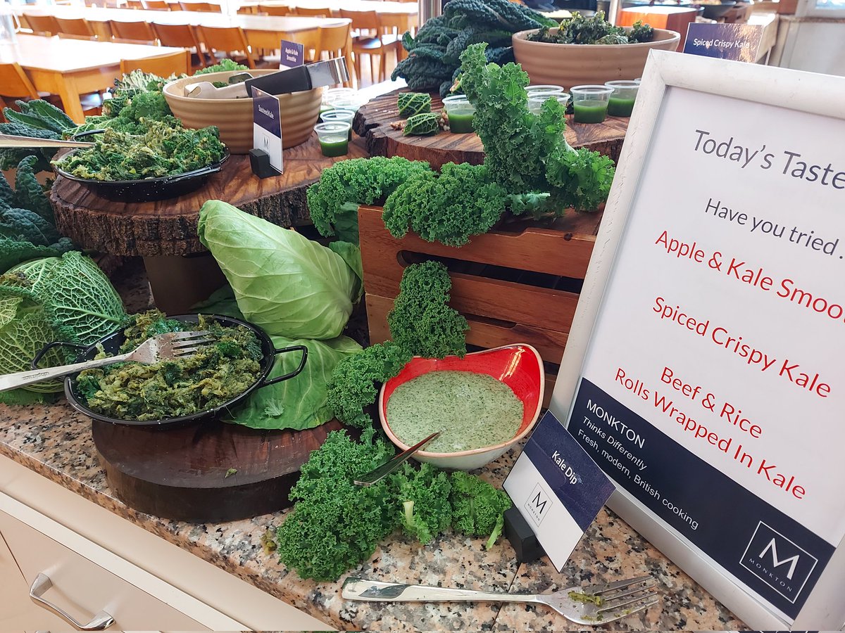 MonktonCatering's tweet photo. Today's #TasterTable features Kale @MonktonSenior. Try something at Lunch and benefit from the Vitamins A, B, C & K. https://t.co/1guhY4dWpN