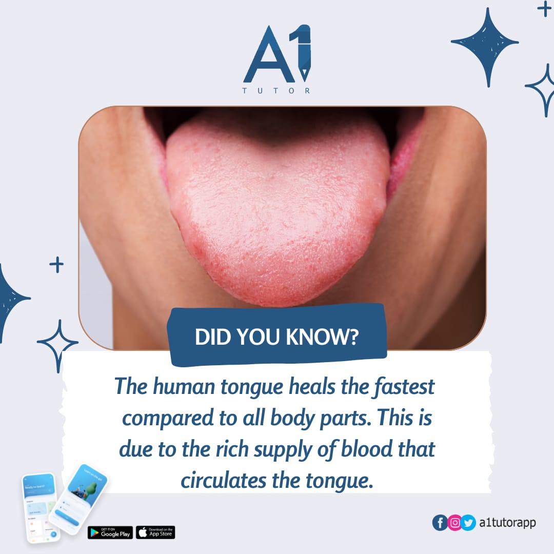 Now you know why your tongue heals almost immediately when you bite your tongue by mistake.
You're welcome🤗
#funfactsfriday #weekendvibes #a1tutor #fuelscarcity