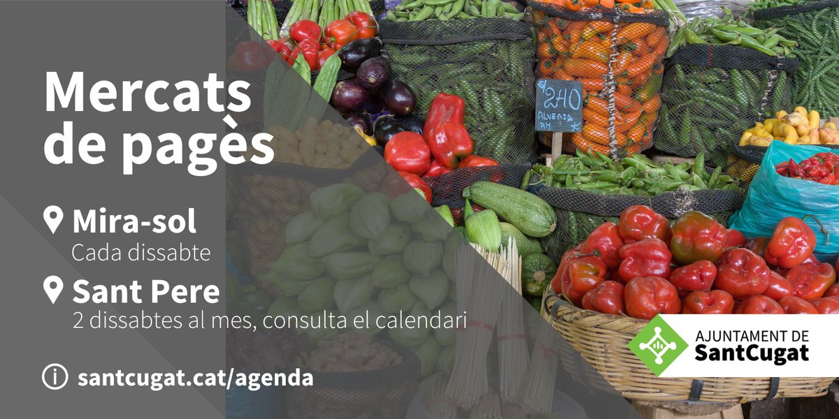 Elena Vila / ❤️ tweet media