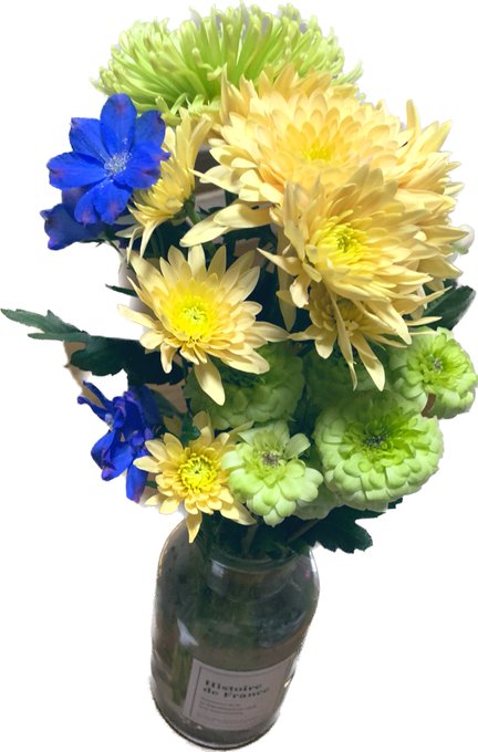 今週の花瓶ほぼ菊なんだけど色が可愛い 