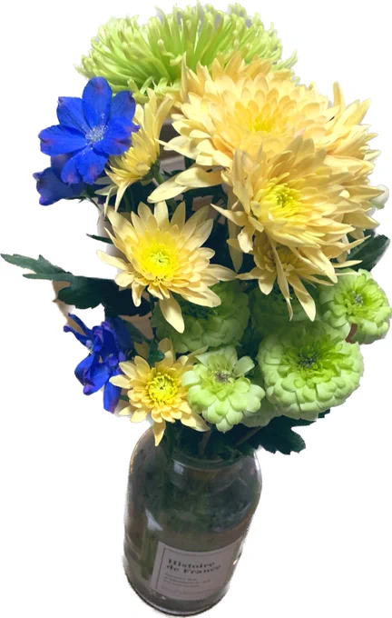 今週の花瓶ほぼ菊なんだけど色が可愛い 