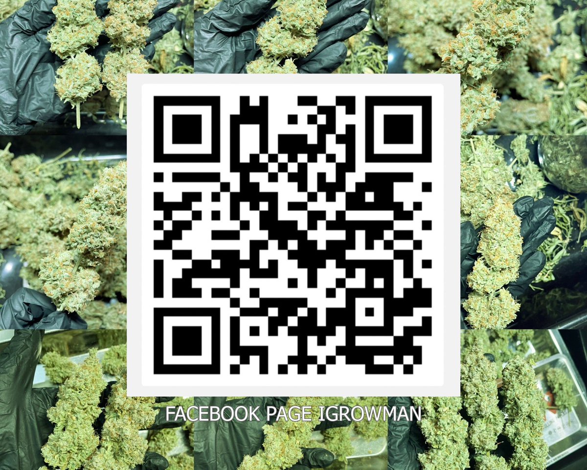 Gorilla Zkittilez 
facebook.com/profile.php?id…
#weedthailand #cannabisthailand #malijuanathailand #weedbkk #cannabisbkk #weedphuket #weedkrabi #weedchonburi #420thailand #weedthai