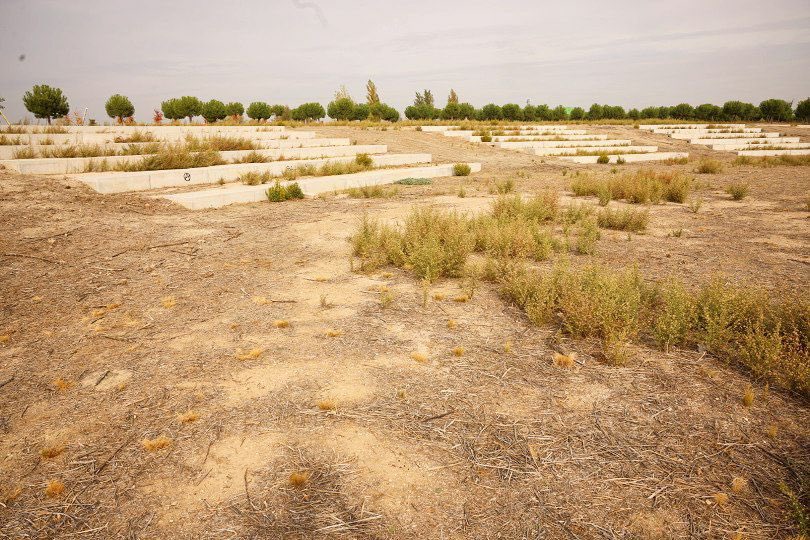 VKSostenible's tweet photo. ✅ Poner bonita la M30 (hacía los coches)
❌ Mantenimiento nefasto del parque de la Gavia y del Bosque Metropolitano
❌ Nuestras calles con un evidente déficit arbóreo

💸 30 M€ + mantenimiento complicadísimo y costosísimo https://t.co/fweSCY6VaC