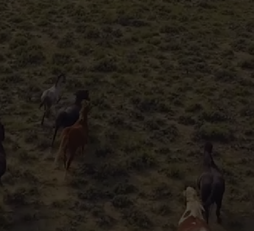 rockshoremedia.com

Rock Shore is a team of passionate, experienced creators who are dedicated to providing video production services