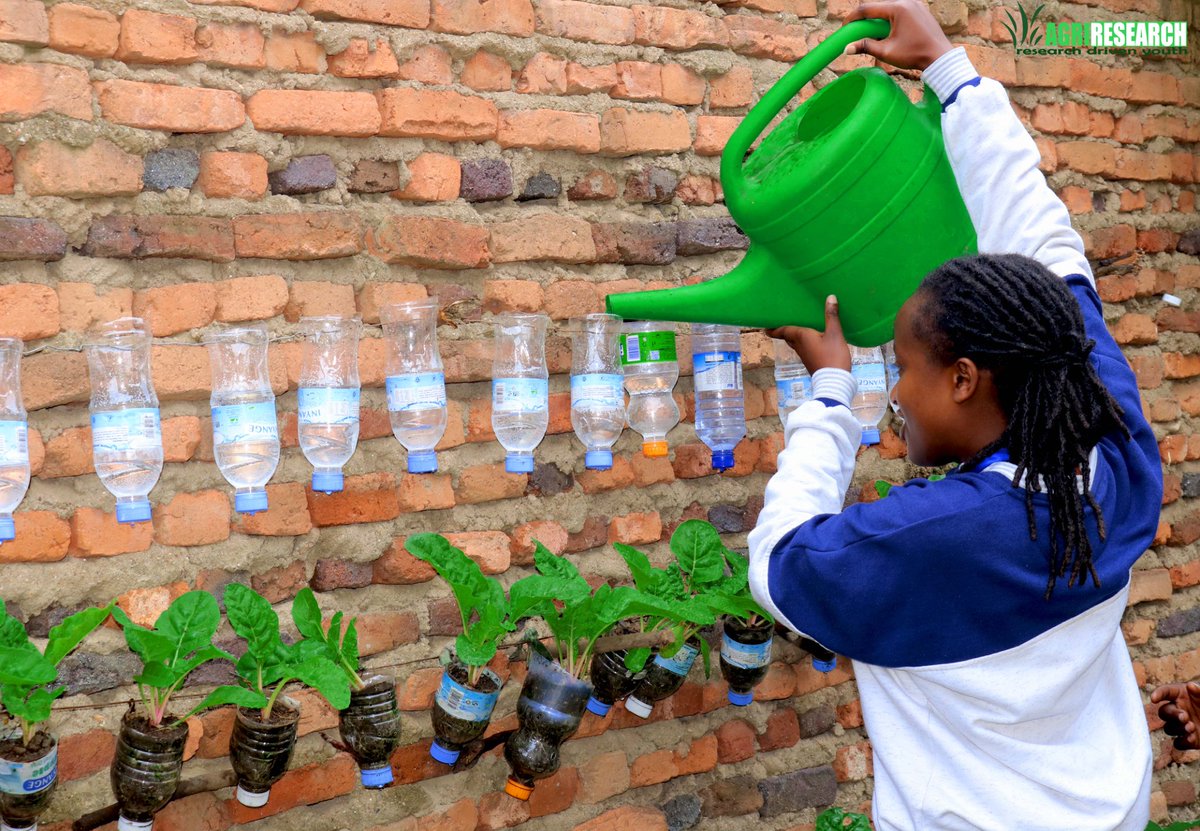 AGARwanda1's tweet photo. Iyo bavuze ubuhinzi bwikorana buhanga wumva iki? Morden agriculture #followerus ubundi buri saa cenda haje hashya✌️ https://t.co/RcI8KyWrgn