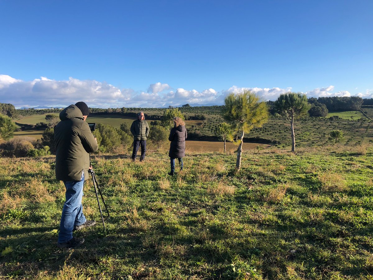 How to manage a #pinenut plantation with the objective of pineapple production: from planting to harvesting. Last day of training videos recordings in Garrigàs, Catalonia with Carlos Vaello, @Miriam_Pique_  @ctforestal and @TESAF_unipd