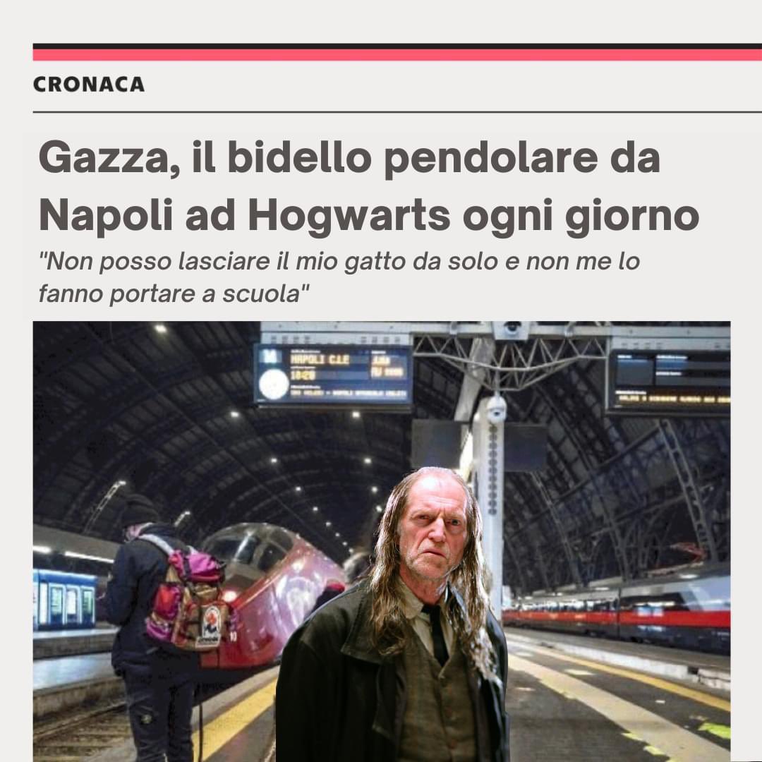 CalonegoCarlo's tweet image. GAME OVER #bidellapendolare #gazza #filch