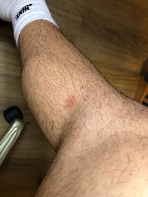 Alex Carignan tweet media