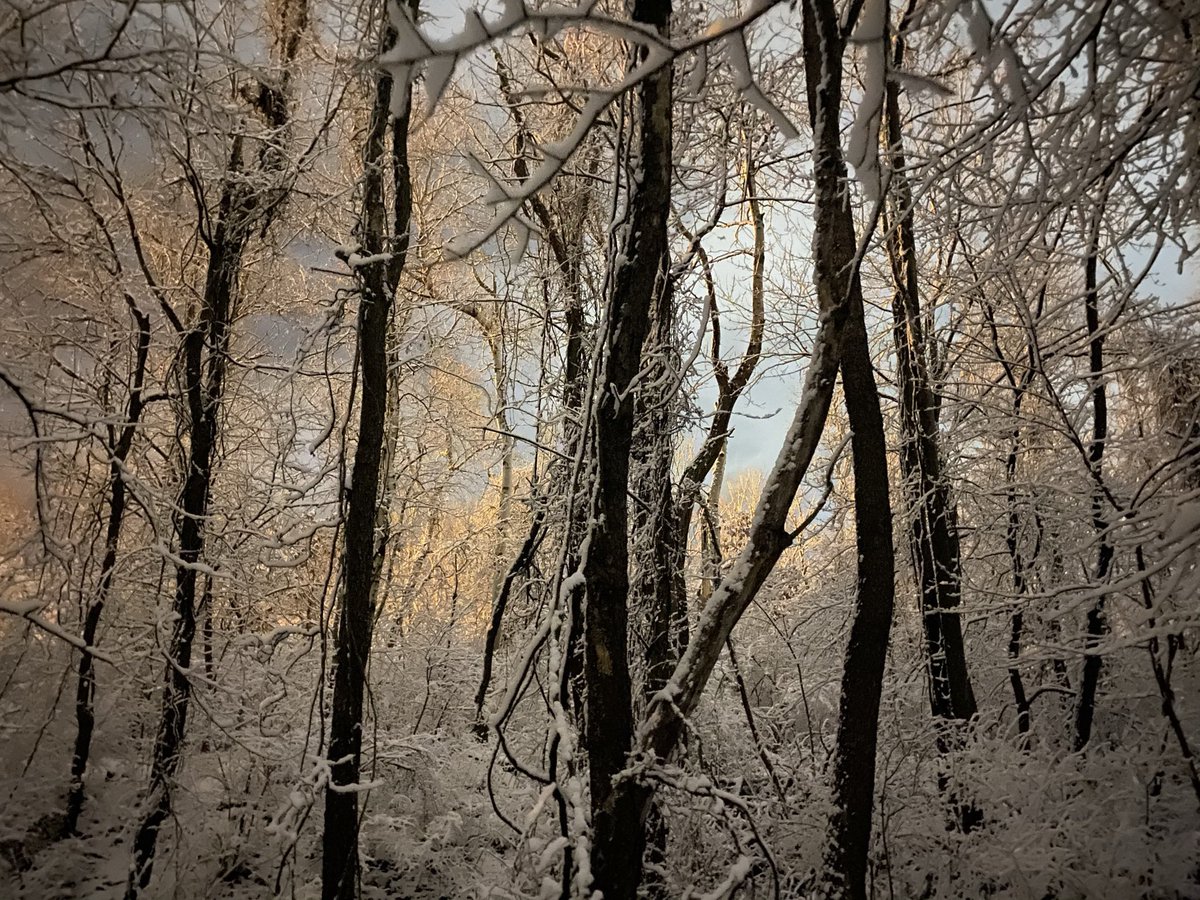 Jessica McAndrew tweet media