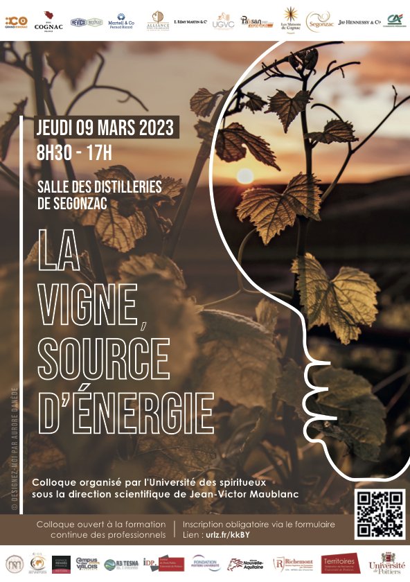 L’Université de droit de Poitiers informe de la tenue d’un colloque sur “La vigne, source d’énergie“, organisé sous la direction de Jean-Victor Maublanc le 9 mars 2023 dans les locaux de l’Université des spiritueux, à Segonzac (16), de 8h30 à 17h00.
droit-rural.com/colloque-la-vi…