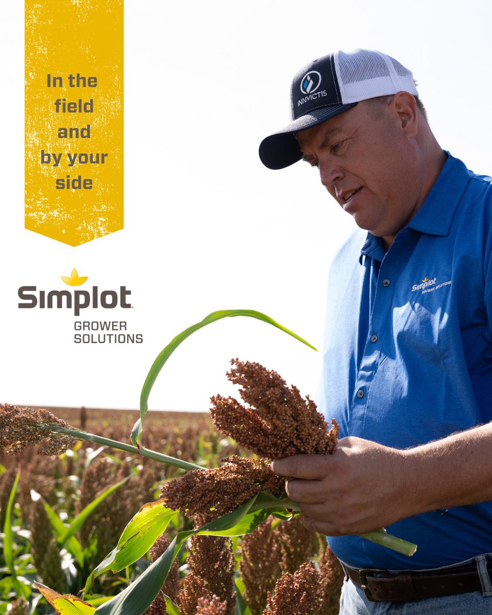 Simplot_SGS's tweet photo. Whether it's in the field or by your side, our crop advisors are there for you. 💯
.
.
.
#agribusiness #simplot #simplotgrowersolutions #sgs #innvictis #croplife #seedsolutions #agriculture #farmerlife #farmers #ag https://t.co/xUOgEKJpHz