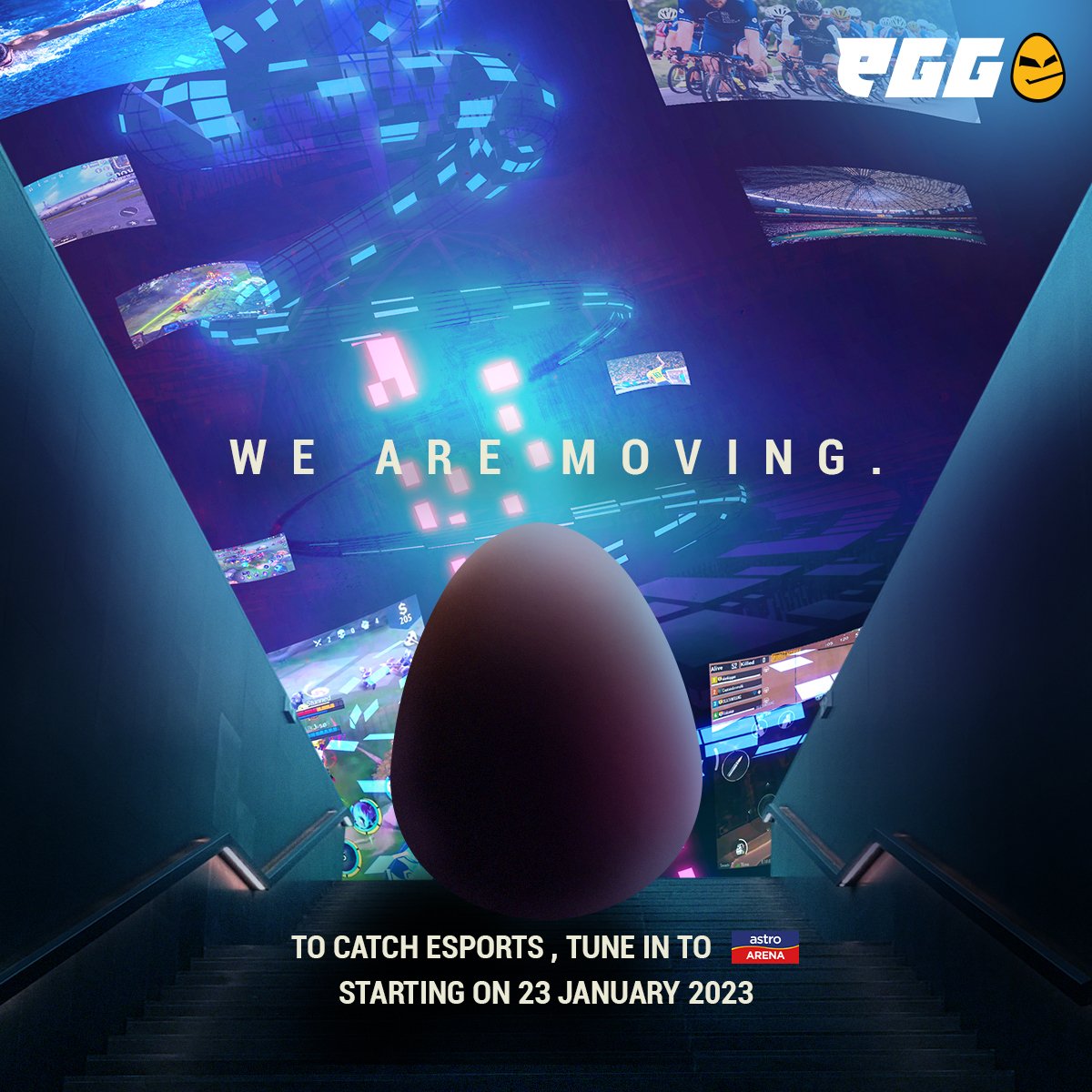 eGG Network tweet media