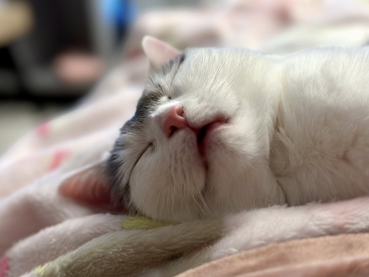 nicolebun on Twitter: "mim"