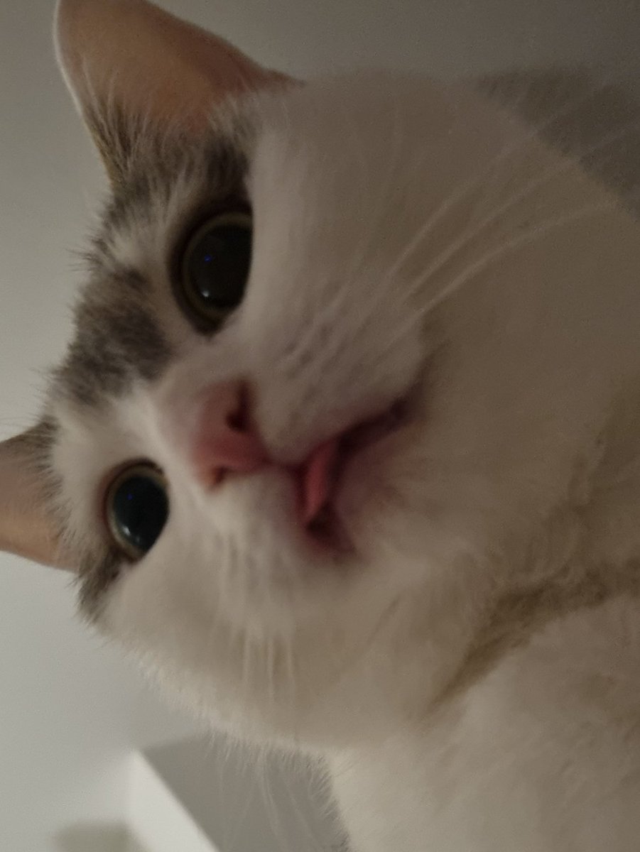 nicolebun on Twitter: "mim"