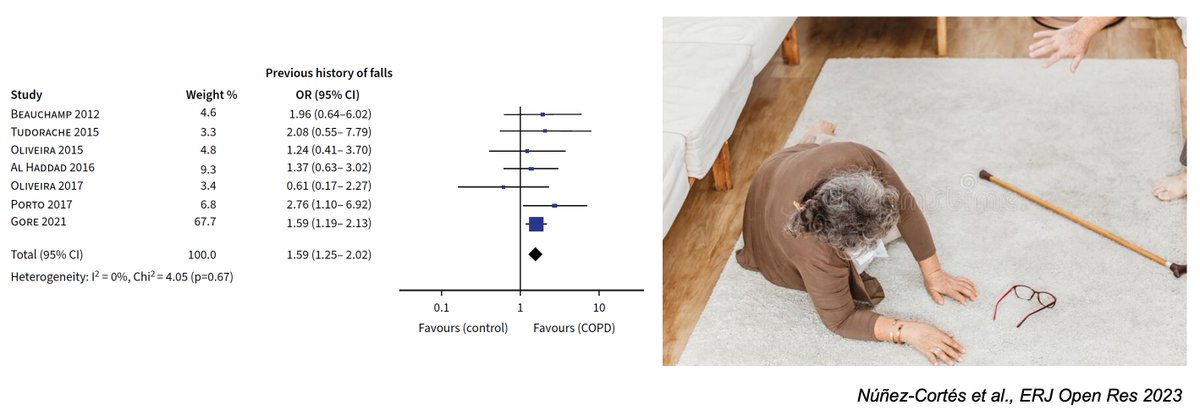 fritsfranssen's tweet photo. In addition to being short of breath and fatigued, patients with COPD have increased risk of falls. Thus, it is important to develop therapeutic strategies focused on balance and fall prevention. https://t.co/wVkTy02GBL @ERSpublications https://t.co/Aa9gOpOzqy