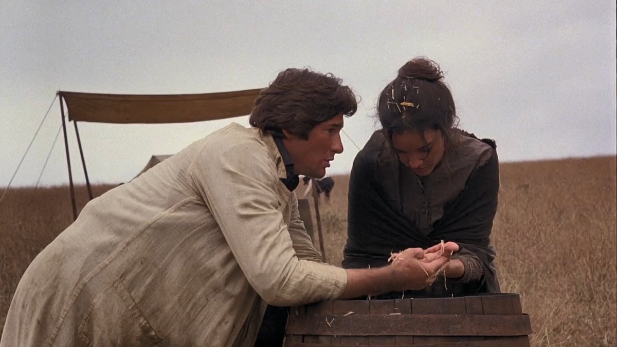 Days of Heaven (1978)
Dir. Terrence Malick

#DaysofHeaven
#TerrenceMalick
#NéstorAlmendros
#HaskellWexler