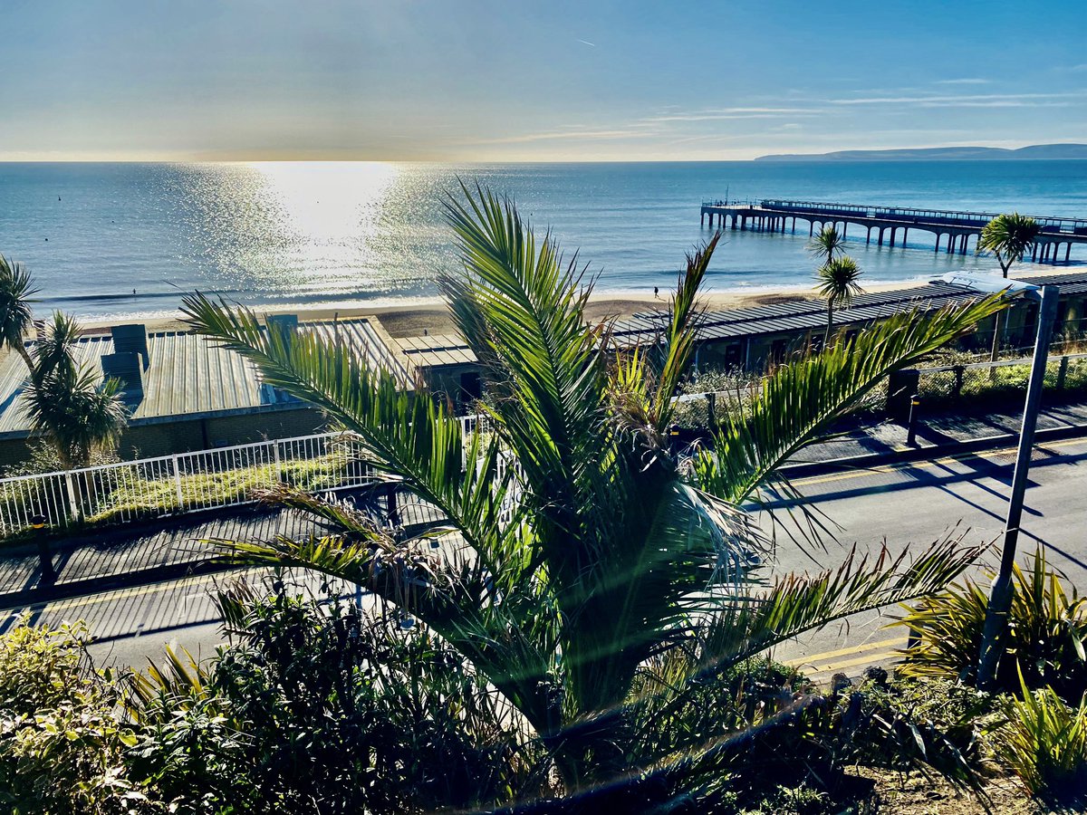 Cindy (Spence) Vallance (she/her) tweet media