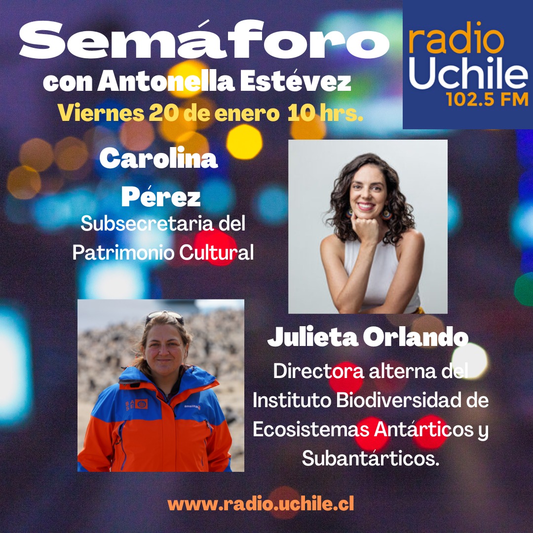 culturas_cl's tweet image. 🔴[AHORA] La subsecretaria del Patrimonio @caroperezdattar, habla sobre el balance de #MuseosEnVerano☀️ en #Semáforo con @AntoEstevez de @uchileradio. 

📡Conéctate a: radio.uchile.cl/senal-en-vivo/