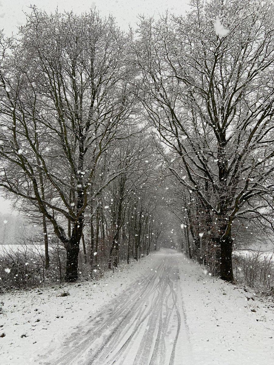 sassefraz82's tweet photo. @Weerprimeur Baarle-Nassau vanmorgen. Nu helaas weer regen. https://t.co/pHodnRQJP6