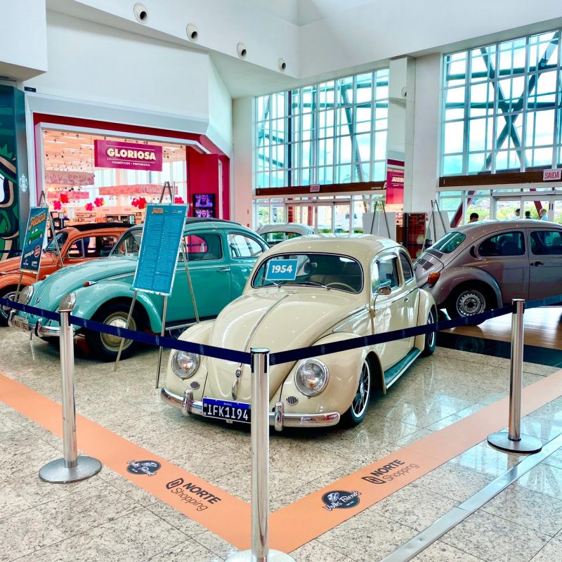 oktoberblog's tweet photo. #Blumenau Dia do Fusca tem exposição no @NorteShoppingAJ e encontro de colecionadores. 🚗🐞
A exposição é em parceria com o #Volksfriends de Pomerode e ocorre diariamente, das 10h às 22h, até dia o próximo domingo (22). 🇧🇷🇩🇪
https://t.co/FrHSAMThTG https://t.co/vD669GJeI6