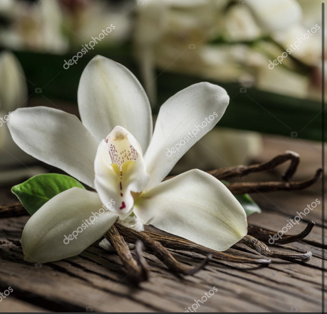 MkindiJackie's tweet photo. Nearly 75% of the World's vanilla yield comes from the hilly forests of Madagascar. For a generation the price languished below $50 a kilo. But for the past 4 years has hovered at 10 times fetching between $400 and $600 a kilo. Tanzanians have something to learn from Madagascar! https://t.co/gIQOqSwSdA