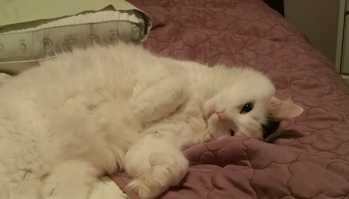 Have a relaxing Friday everyone!