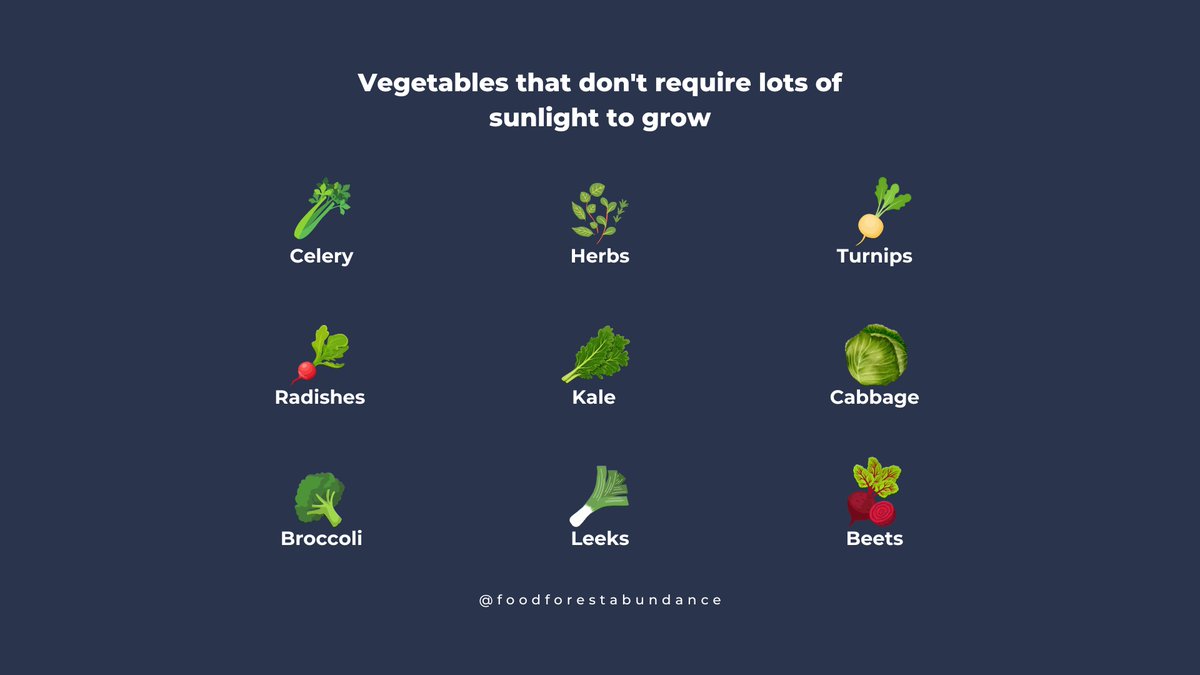 9 vegetables that don't require lots of sunlight to grow.

Which ones will you be growing in your garden?

#nutrition #growyourownfood #growingfreedom