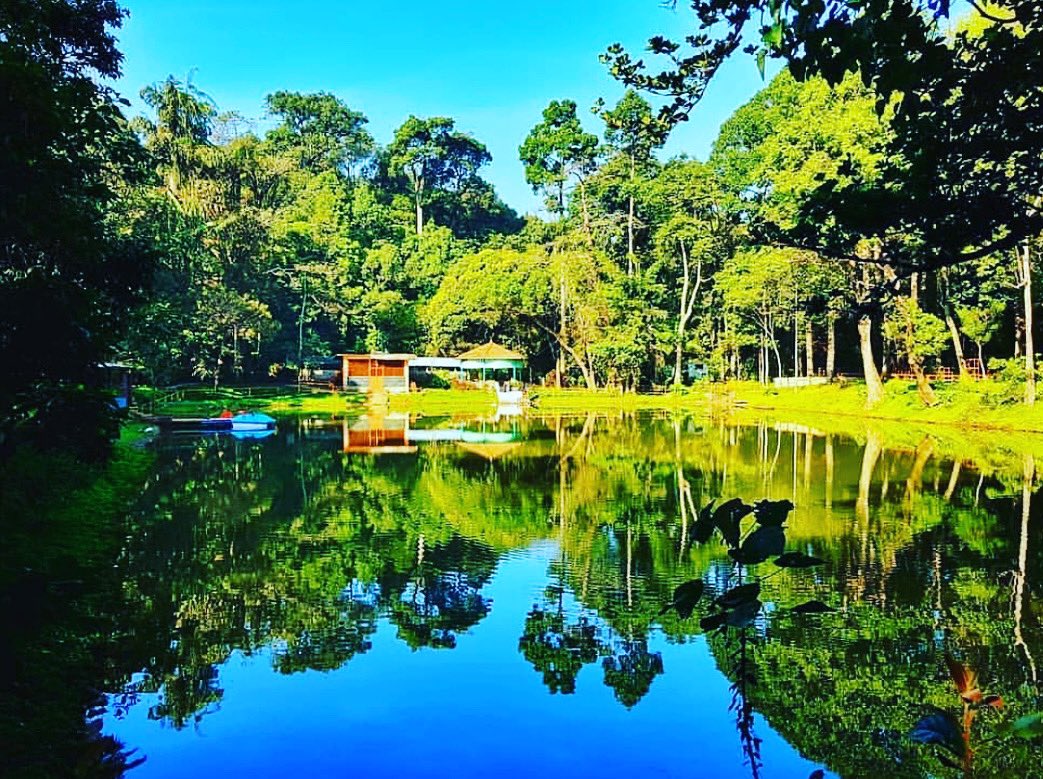 Reflection 📷
.
.
.
#learnphotography   
#travelphotography #naturelovers     
#wildlife #nature #wildlifephotography     
#photography #naturephotography  
#outdoors #chefphotography  
#ChefNavinNishant #chefsofinstagram   
#canon #canonphotography #wild #Riverside