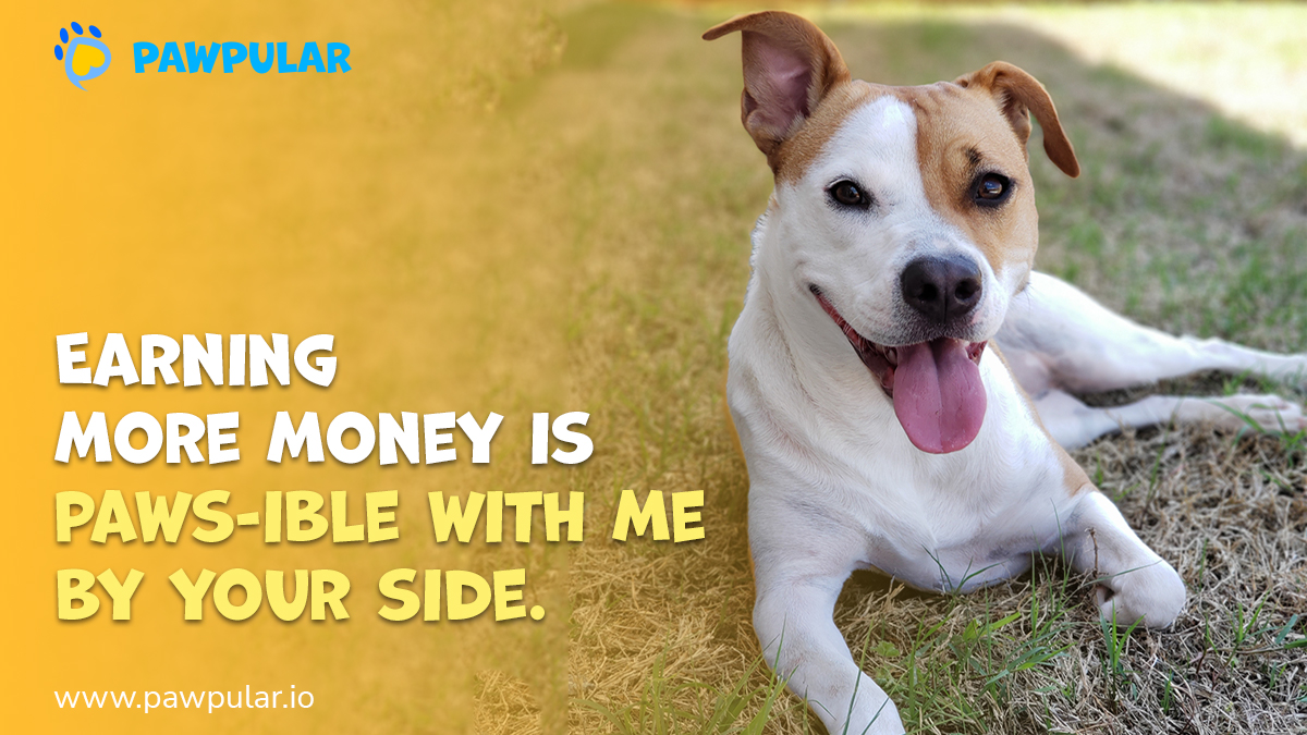 ➡️Looking for a way to bond with your pet and get rewarded? Look no further than PawPular – the revolutionary new app that lets you earn rewards while taking your pet for a walk!
With the power of NFTs, you can take your pet for a stroll and be rewarded

#PawPular #WalktoEarn