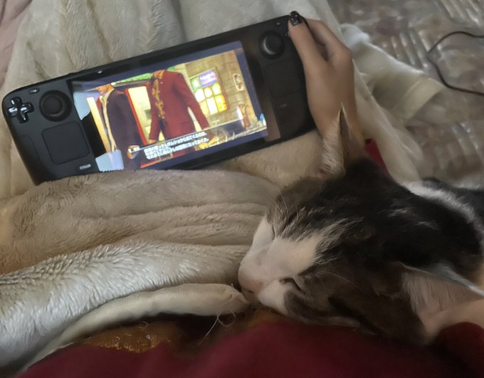 スチ~ムデックは大変グレイトなのでみなさんも買った方がよろしいよ 