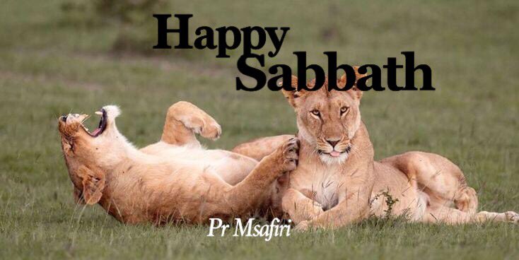 alele261's tweet photo. #HappySabbath https://t.co/bmj858xy1P
