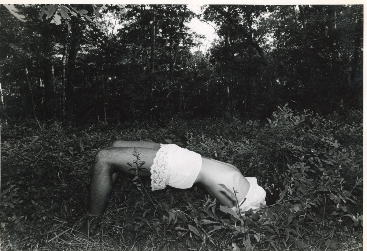 P·P·O·W tweet media