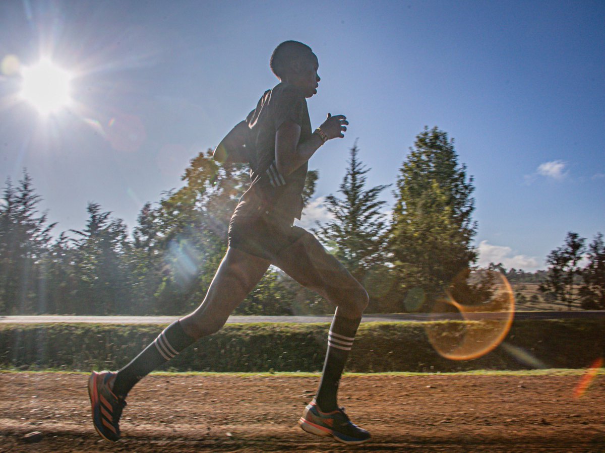 🤩 Funfact friday 🤩 

Do you know the meaning Volare?

Direct translation: Flying! 💨 

It refers to the speed of our athletes. Whether on track, roadrace or marathon: on all distances we have ‘Volare’ athletes. 😀

#teamvolare #volare #flying #speedwork #fast #fastrunner