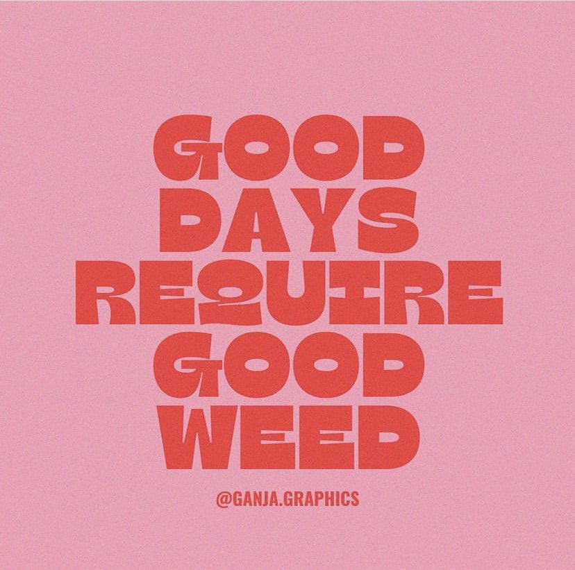 Mr_Green_Finger's tweet photo. #StonerFam #WeedLife #Mmemberville https://t.co/QGn9olO24v