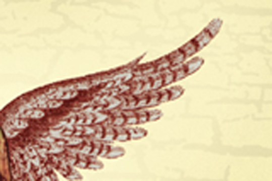 Loudwire tweet media