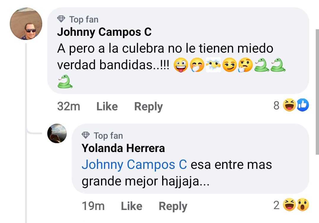 "Mis papás se conocieron en los comentarios cuando Telenoticias publicó que descubrieron un sapo gigante en Australia"