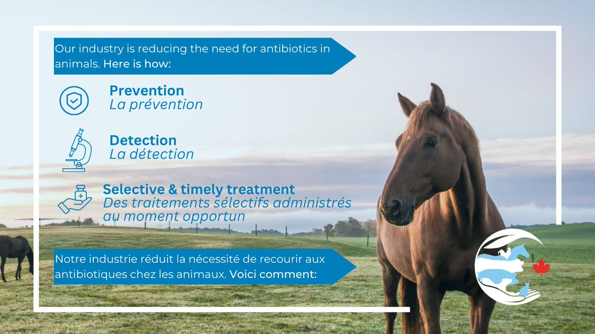 When #animals fall ill with a severe bacterial infection, sometimes there is a need for antibiotic use

But, our industry is actively reducing the need for antibiotics through :

🛡️Prevention
🔎Detection
💊Selective and timely treatments

Read more here: bit.ly/3wgIQDI