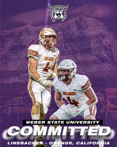 HitchensMayson's tweet image. COMMITED🟣⚫️ 
@weberstatefb @Matty_AhYou