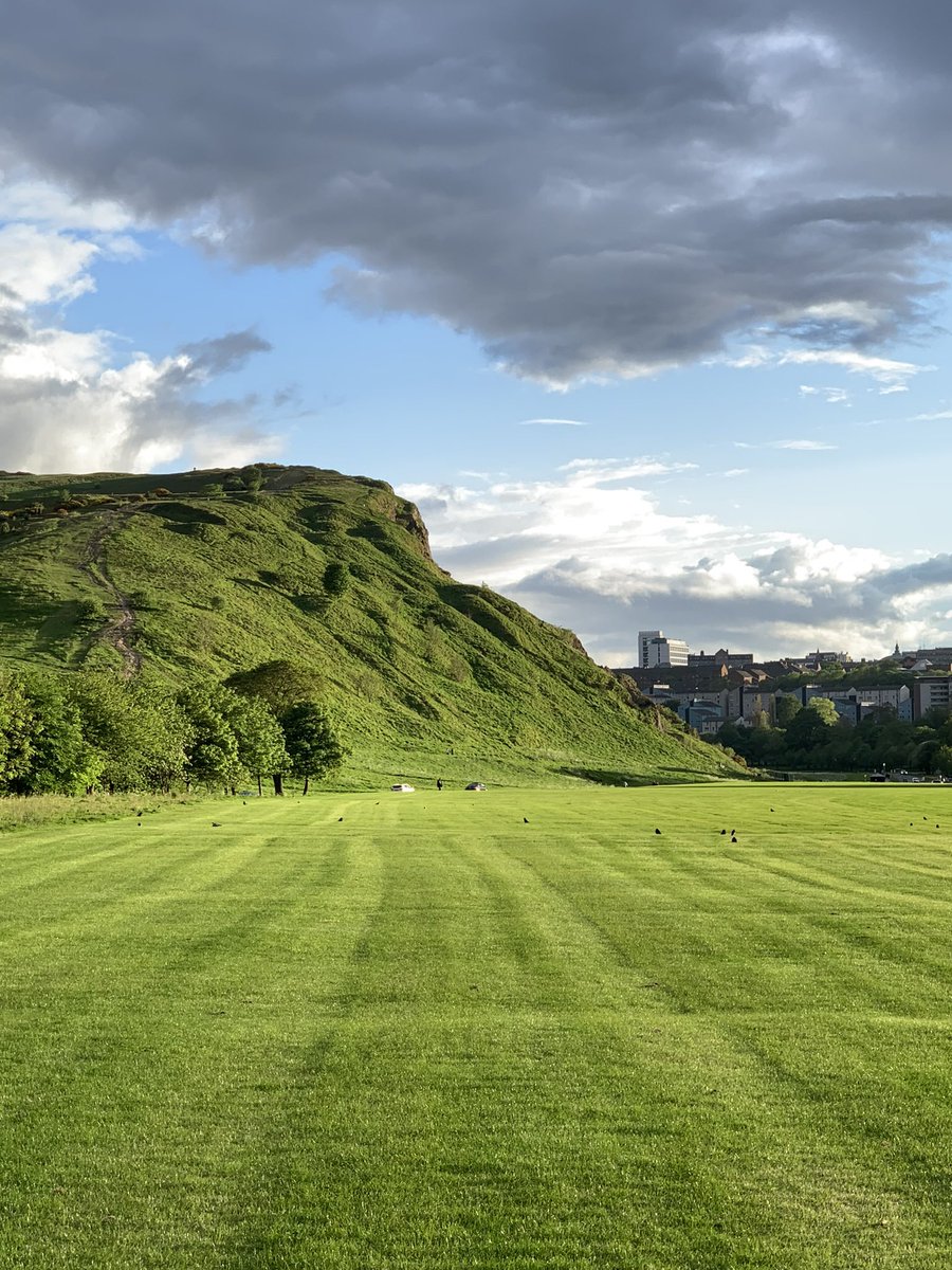 MaxGerun's tweet image. 