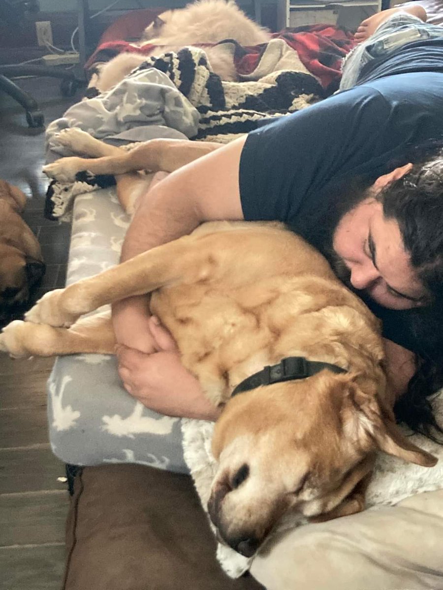 sMiLeY_8D's tweet photo. Last night our beautiful Sadie lady passed away 😢 💔 we miss her terribly. We know she's in a better place but it still feels too soon for our beautiful angel.... I love you baby girl xoxo xoxo I am thankful we got one last good cuddle in before the end. Our hearts are broken... https://t.co/tDTlMvz4Wd