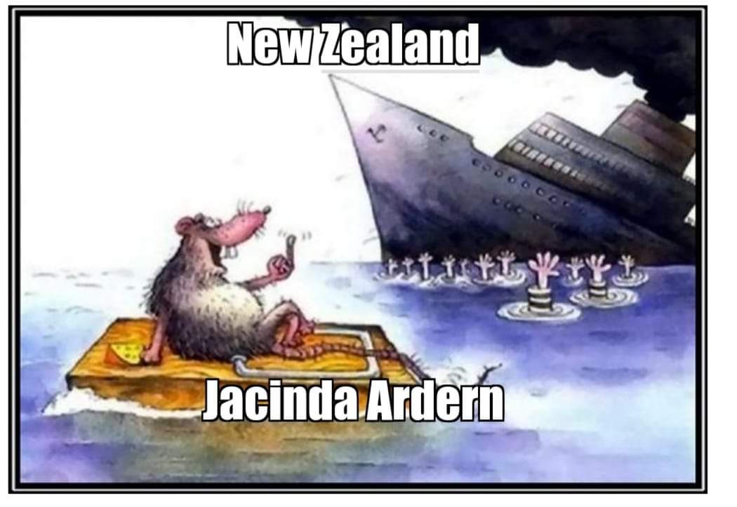 leathnelson1's tweet photo. @ShamWez This sums it up https://t.co/jsY8VVMqaz