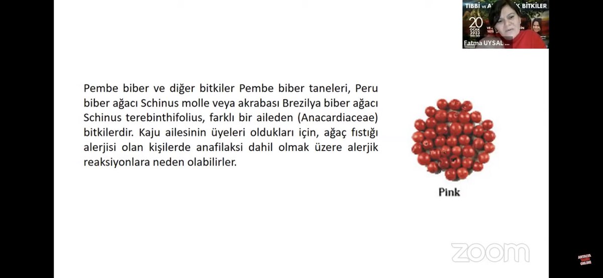 MBI1903's tweet photo. @antalyailtarim @VahitKirisci @ersinyazici1 @gokhankaraca_ 4.Ders 2. Yoklama https://t.co/202DgcpY5O