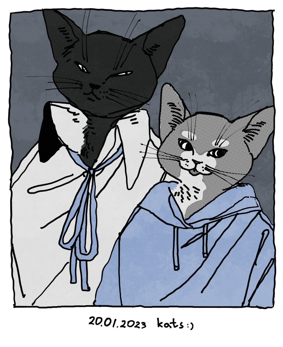 I love cats 