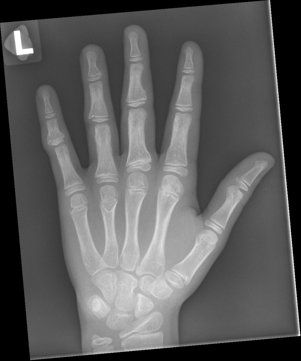 Paul McCoubrie tweet media