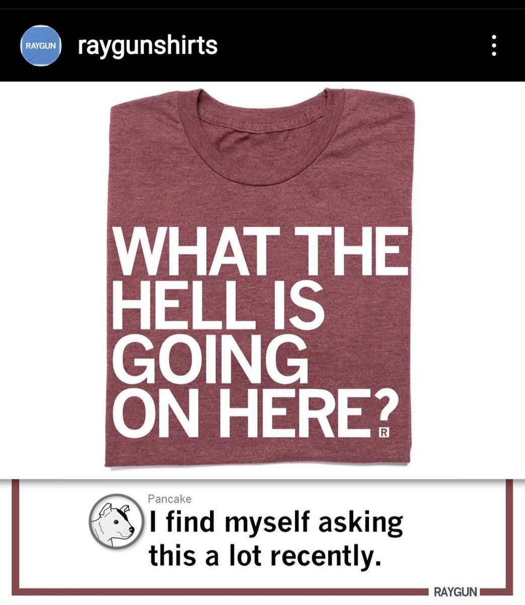 My husband every time I appear in a new T-shirt from <a href="/RAYGUNshirts/">RAYGUN</a>.
(Also me when debugging #datascience things.)
#datafam #thestruggleisreal