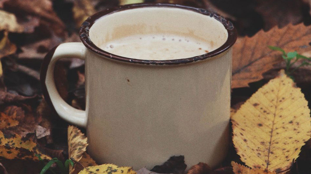 Pajarete: la bebida tradicional que puede ser peligrosa para la salud dlvr.it/ShBnRF