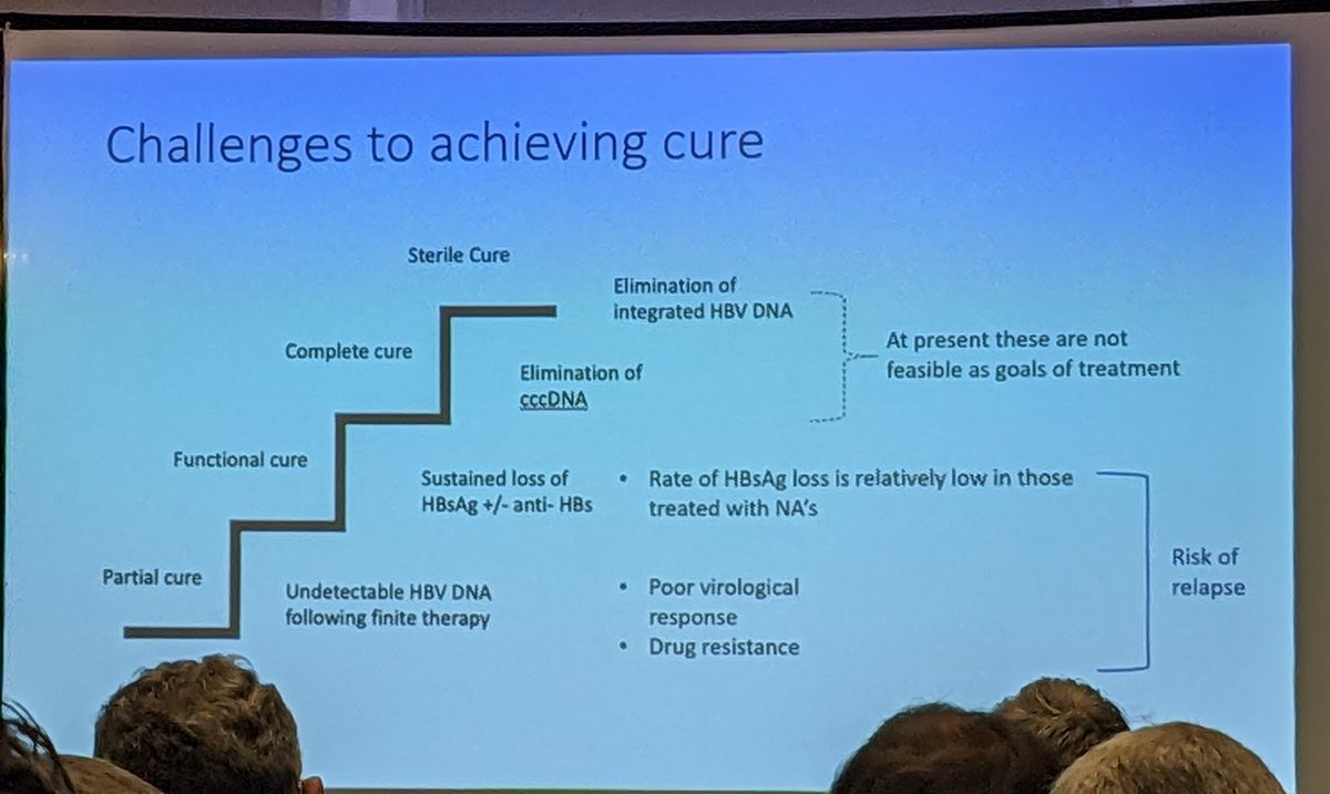 Informative <a href="/BASLedu/">BASL education feed</a> meeting today discussing the difficult road ahead to achieving a functional cure for #hepatitisB Great to see so many <a href="/heppharm/">BHPG</a> faces.