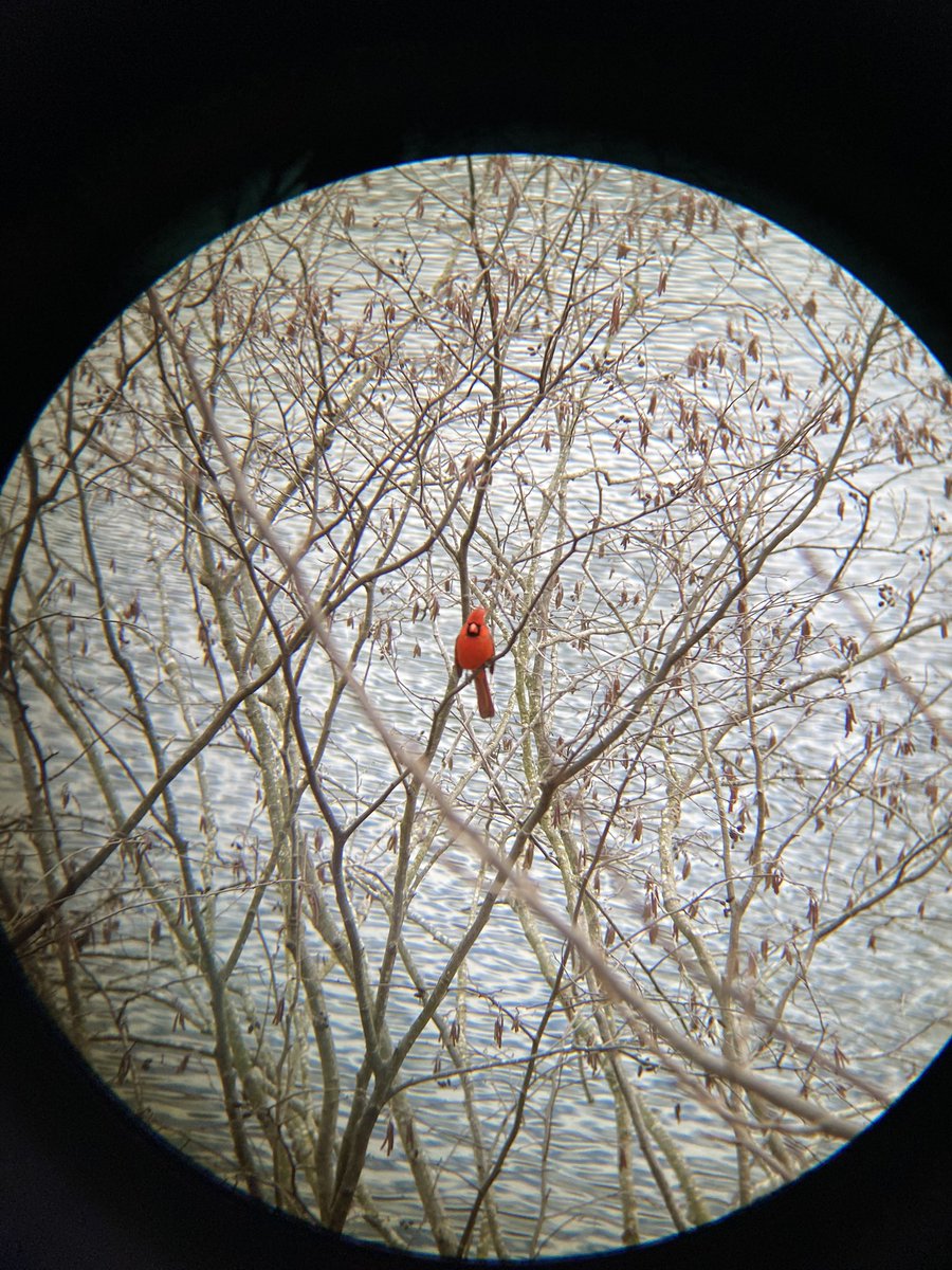 Best field trip of the year! Thanks <a href="/TheOutdoorLab/">The Outdoor Lab</a> @APSscience